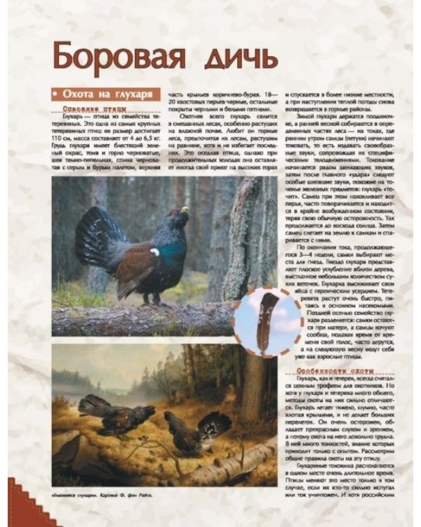 Дополнительное изображение книги «Большая энциклопедия охоты»