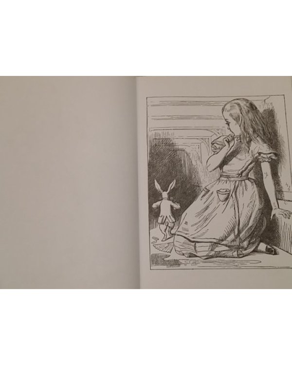 Алиса Джона Тенниела. Раскраски, поднимающие настроение
