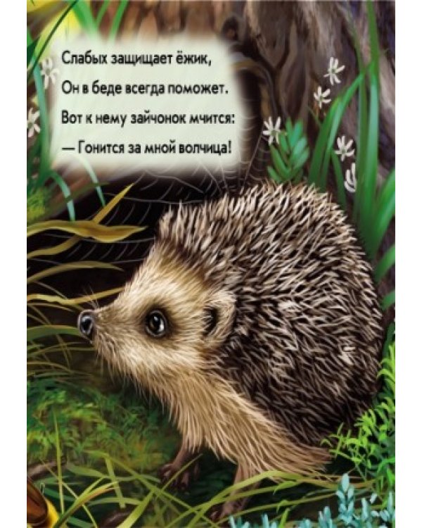 Ёжик