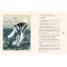 Дополнительное изображение книги «Храбрый Иссумбоси»