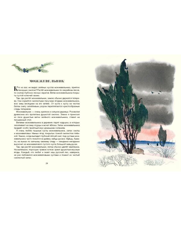 Русский лес