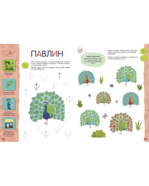 Дополнительное изображение книги «Птицы. Комплексная тетрадь для игр и занятий»
