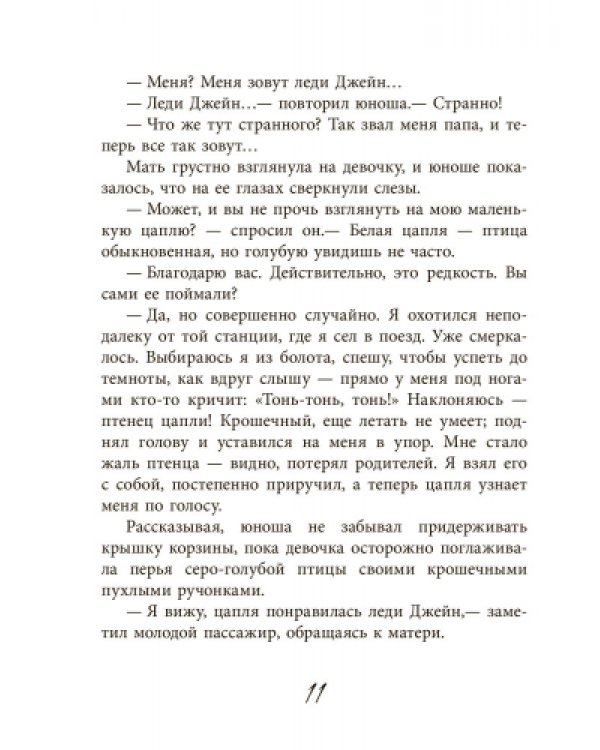 Дополнительное изображение книги «Леди Джейн»