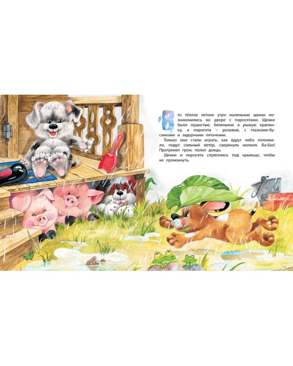 Дополнительное изображение книги «Тузик и Мурзик»