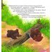 Дополнительное изображение книги «Мы не всегда получаем то, что хотим»