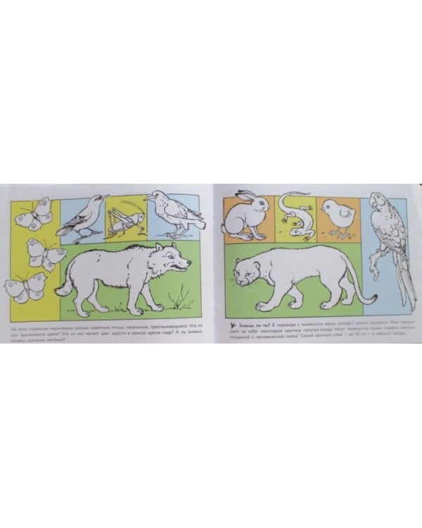 Кошка мяукает,поросенок хрюкает