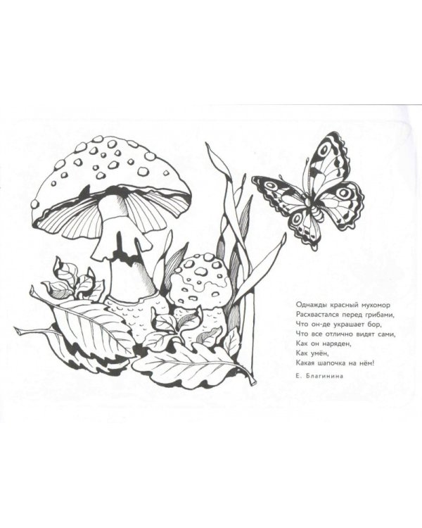 Альбом для раскрашивания. Калинка да малинка