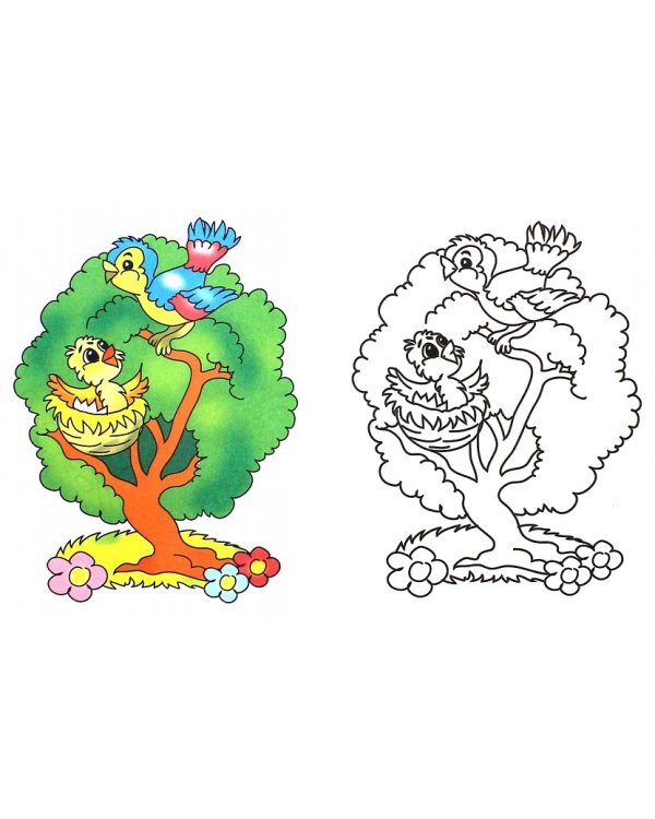 Кто где живет? 2-4 г.