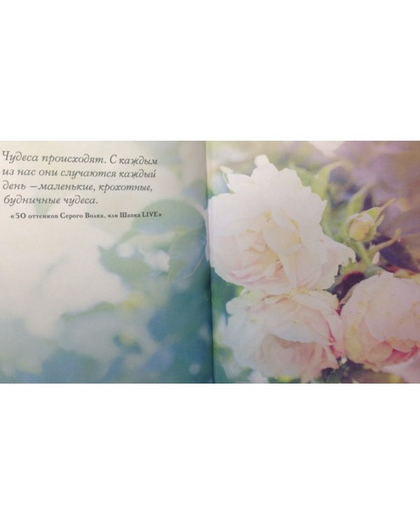 Олег Рой With LOVE