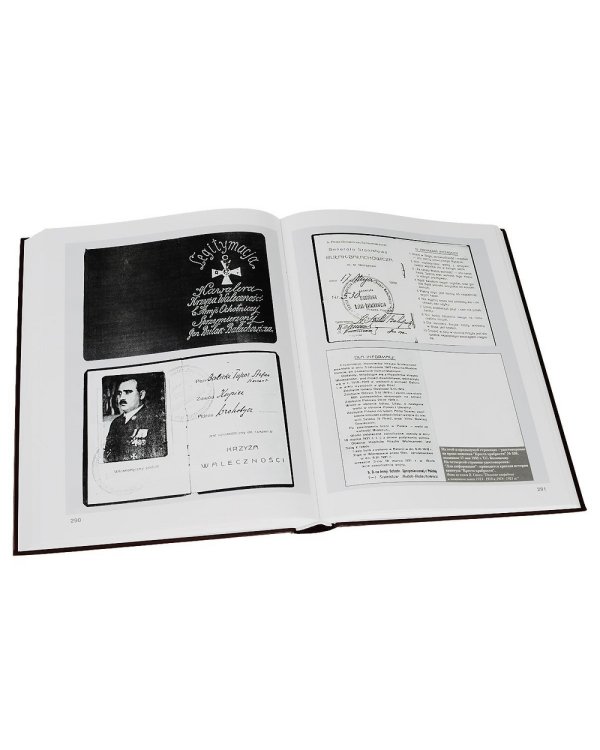 Награды и знаки белых армий и правительств 1917-1922