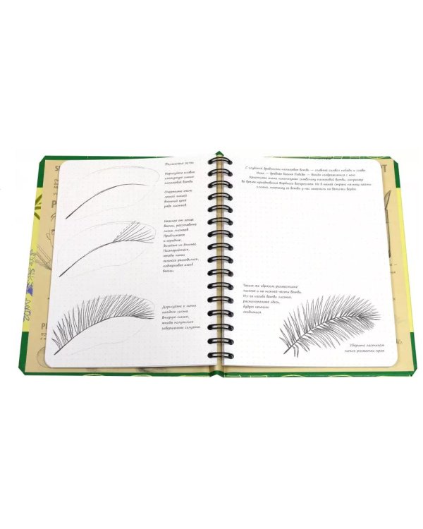 Sketchbook. Рисуем цветы. Визуальный экспресс-курс рисования