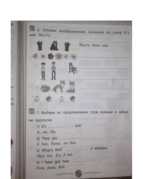 Английский язык. Грамматика