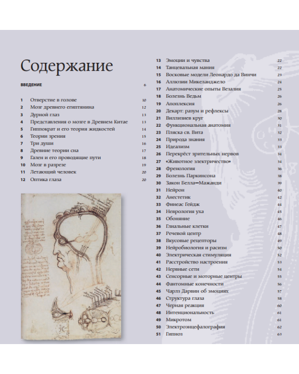 Дополнительное изображение книги «Мозг»