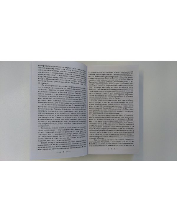 Унесенные ветром. Том 1