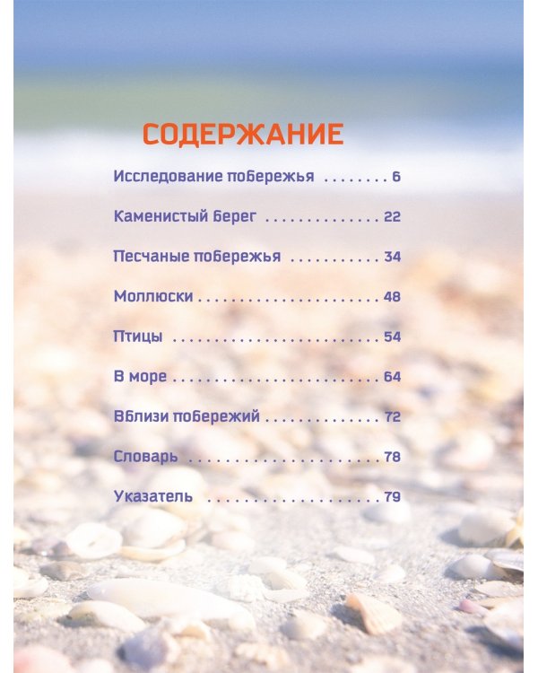 На морском берегу. Природа в деталях