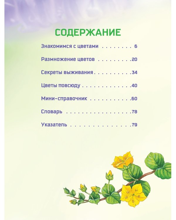Цветы. Природа в деталях