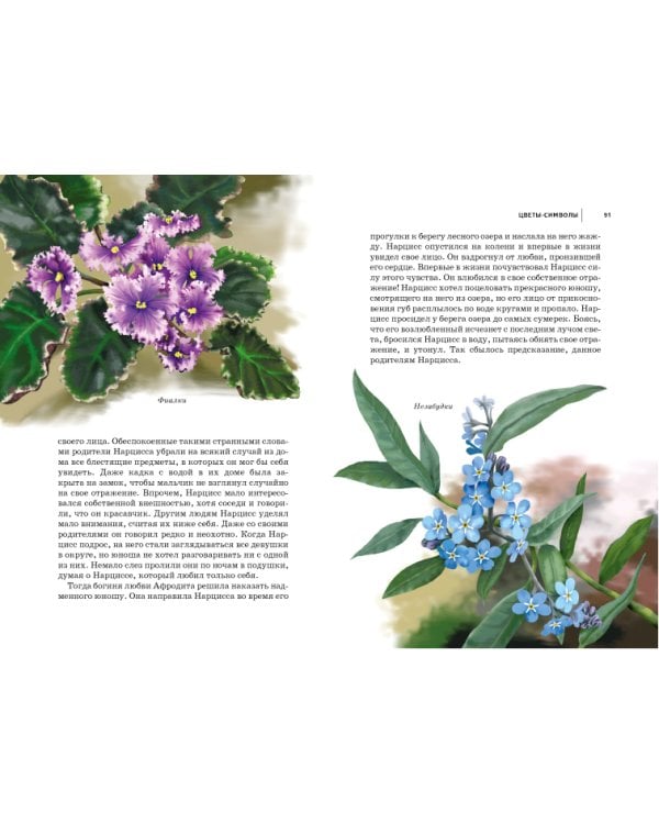 Цветы. Школьный путеводитель