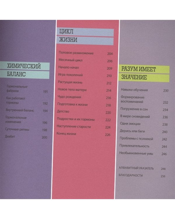 Как работает тело