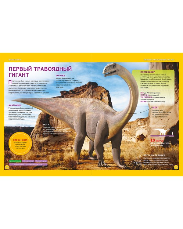 Дополнительное изображение книги «Отличная энциклопедия для классных девчонок»