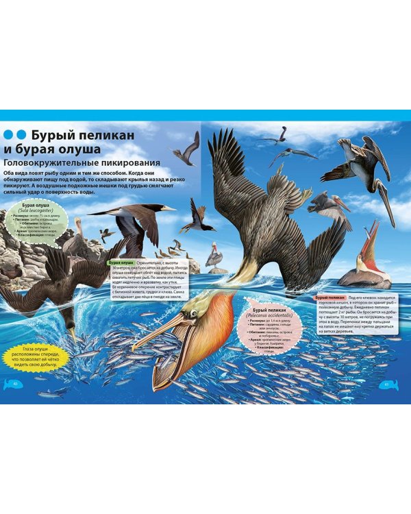 Подводный мир. Большая детская энциклопедия