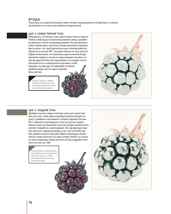 Волшебный мир Анны Мейсон.Рисуем природу.Все секреты реалистичной живописи
