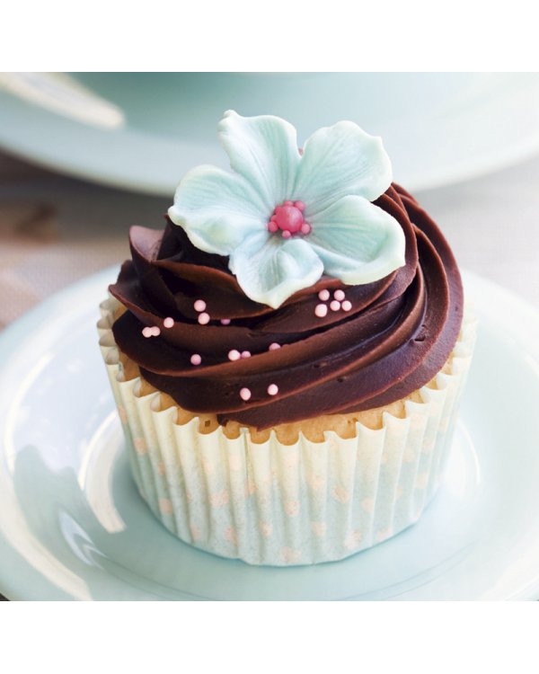 Дополнительное изображение книги «Сupcakes (Пирожные). Календарь-органайзер на 2019 год»