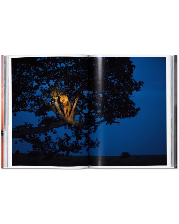Дополнительное изображение книги «National Geographic. Around the World in 125 Years a Africa»