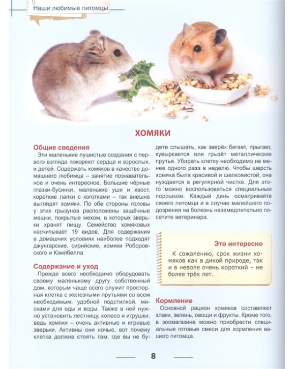 Наши любимые питомцы