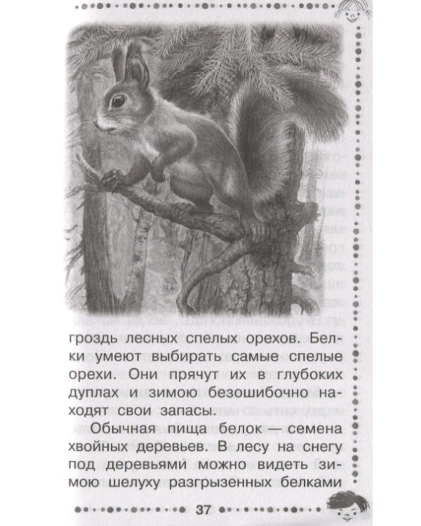 Дополнительное изображение книги «Рассказы о животных»