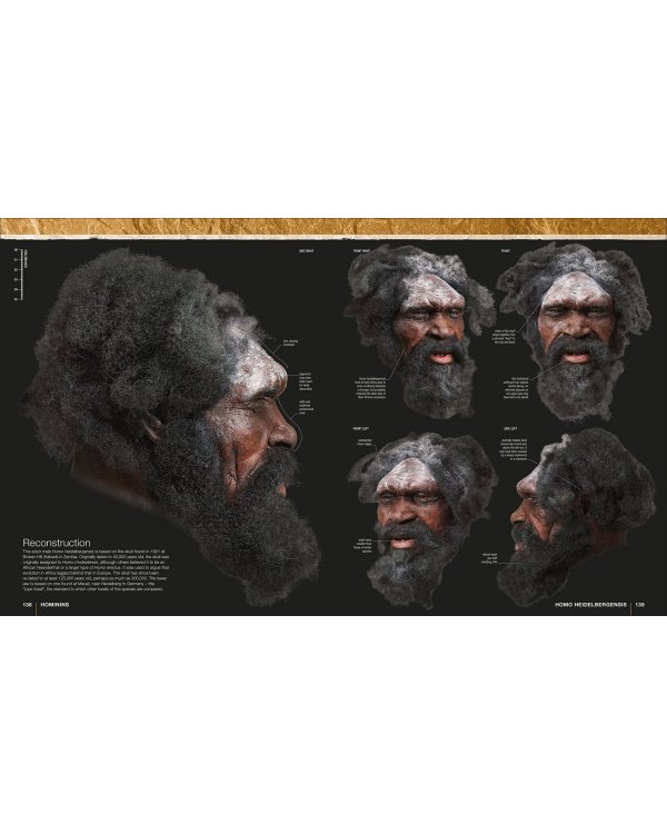 Evolution: The Human Story