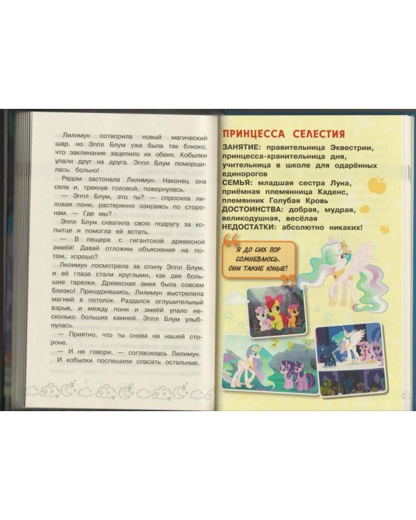 Мой маленький пони. Тайны Понивилля. Большое приключение