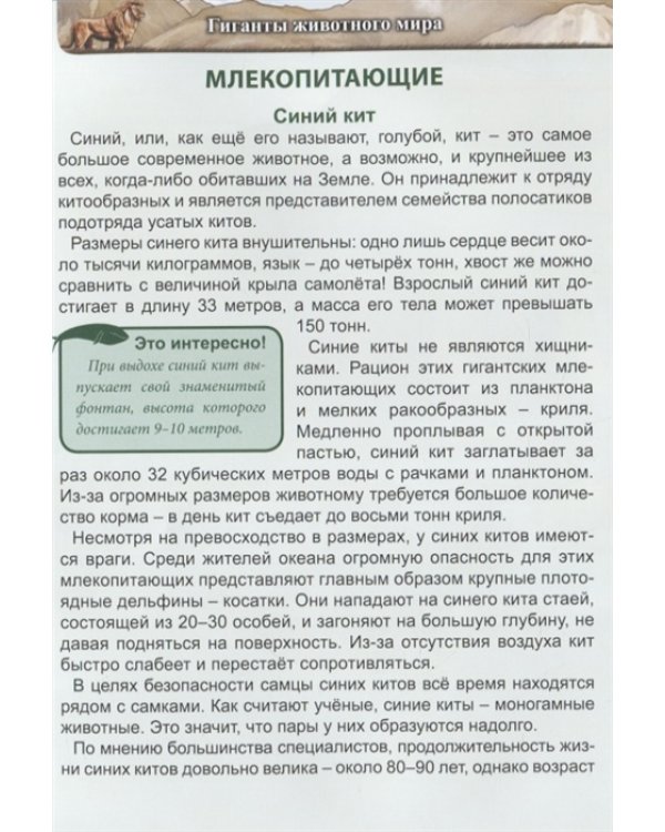 Гиганты животного мира