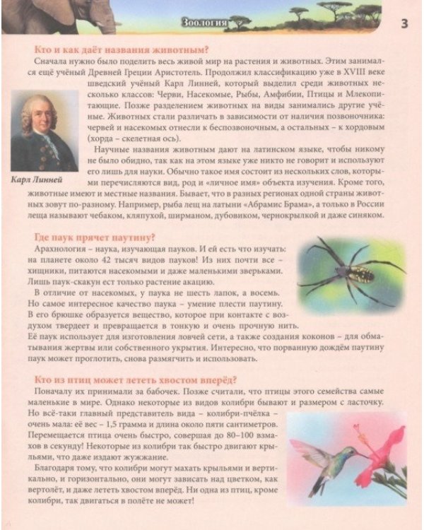 Где? Кто? Почему?