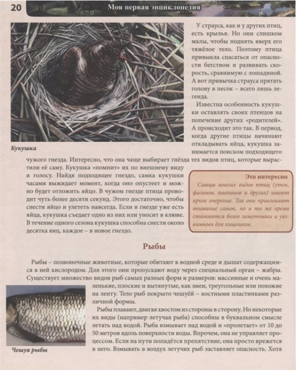 Моя первая энциклопедия