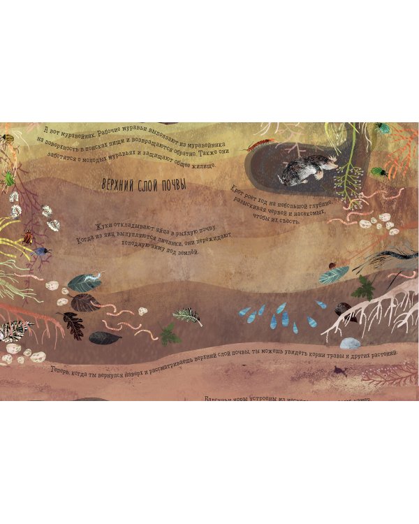 Что скрыто под асфальтом?