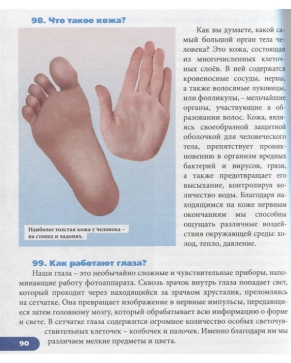 Живая природа
