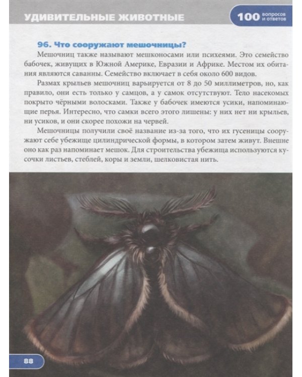 Удивительные животные