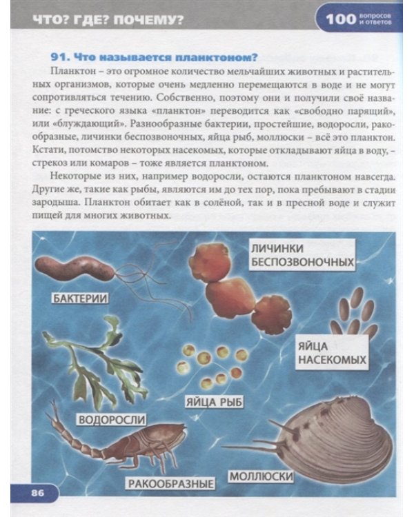 Что? Где? Почему?