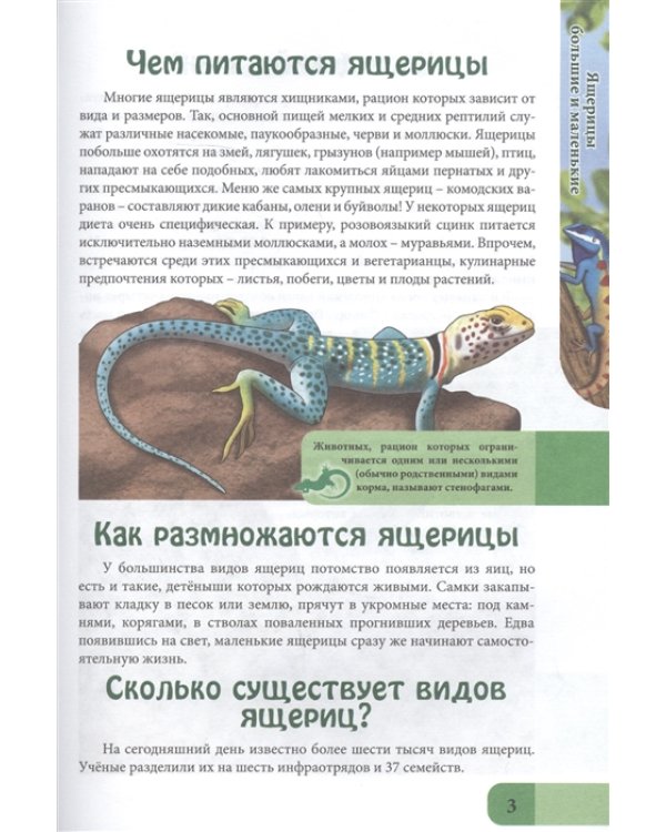 Энциклопедия. Ящерицы большие и маленькие