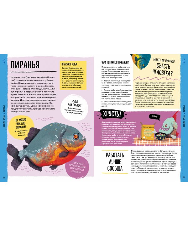 Мир вокруг тебя. Эти невероятные животные!