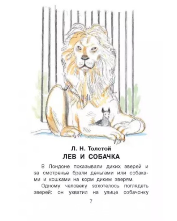 Все лучшие рассказы про животных
