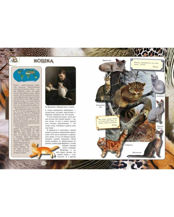 Животный мир нашей планеты