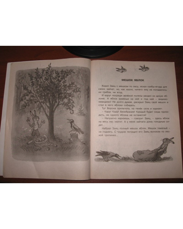 Наши любимые сказки