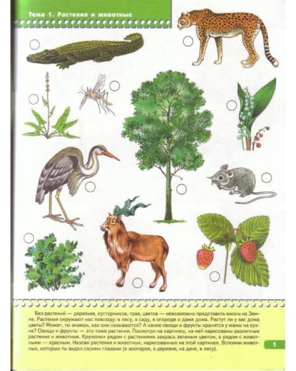 Я изучаю природу