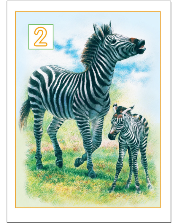 Я считаю до пяти