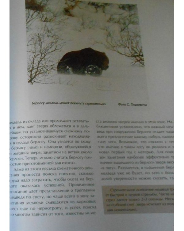 Дополнительное изображение книги «Охота на медведя»