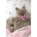 Кошки и котята. Вяжем спицами. Забавные игрушки!