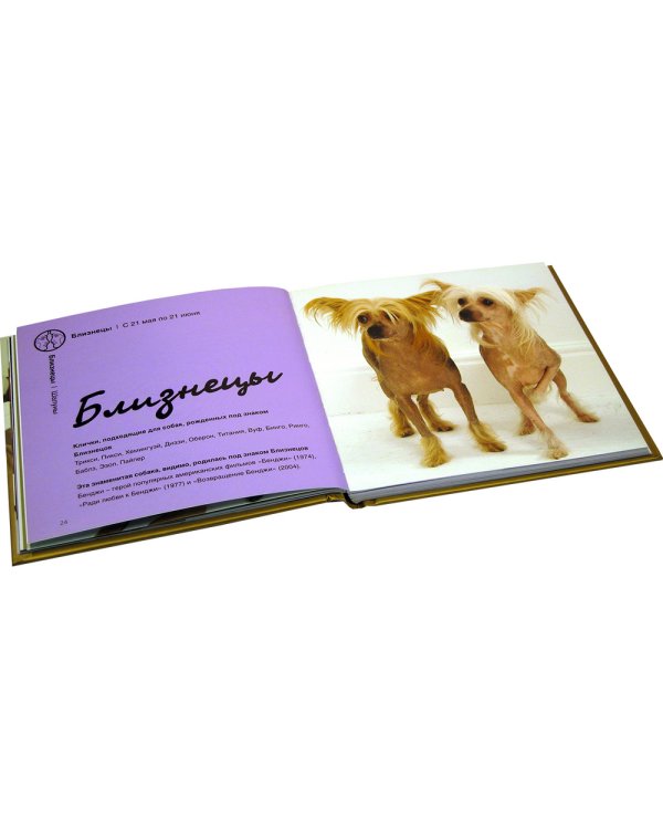 Собачья астрология. Что говорят звёзды о характере вашего четвероногого друга