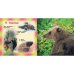 Дополнительное изображение книги «Дикие животные»