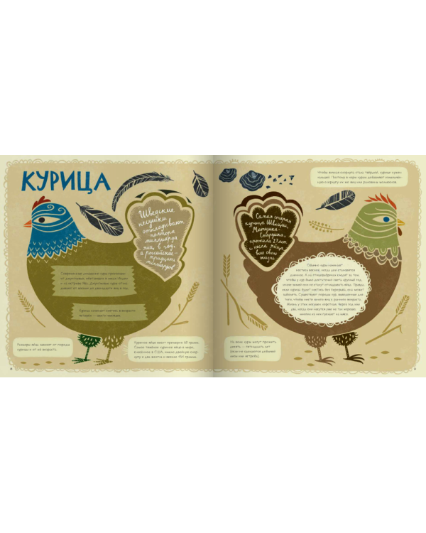 Крутые факты о яйцах